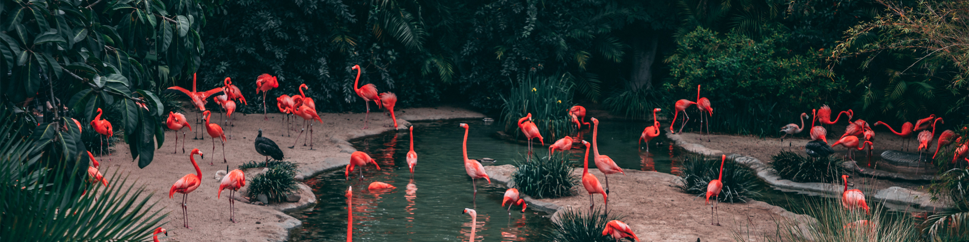 湖南熠成国际旅行社有限公司驻马店第一网点